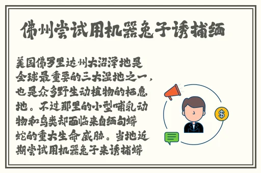 乱肉黄蓉合集500篇